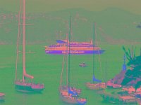 IMGP2621 edited (Medium)